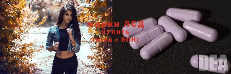 продажа наркотиков  Лукоянов  ЛСД экстази ecstasy 